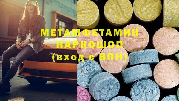 прущие грибы Волосово