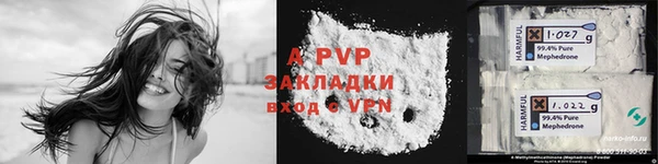 прущие грибы Волосово