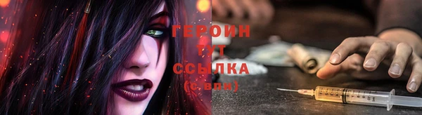 прущие грибы Волосово