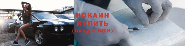 прущие грибы Волосово