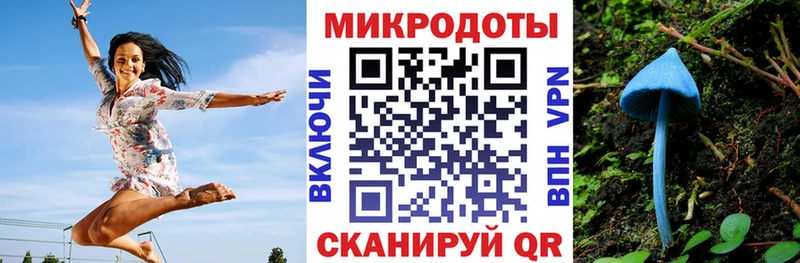 Купить закладки Городовиковск Псилоцибиновые грибы мухоморы